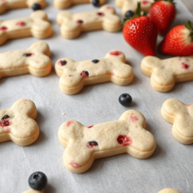 Roscoe & Stella's Gourmet Fruit Dog Treats (flavor: Blueberry & Strawberry)